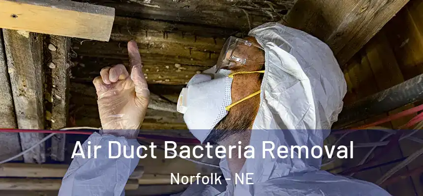 Air Duct Bacteria Removal Norfolk - NE