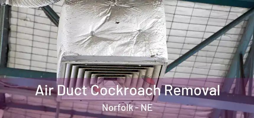  Air Duct Cockroach Removal Norfolk - NE