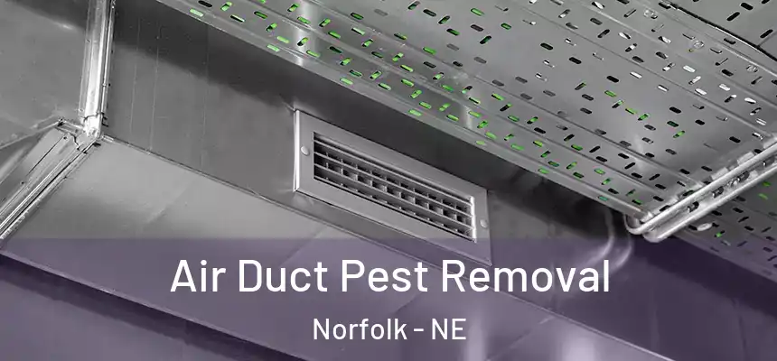 Air Duct Pest Removal Norfolk - NE