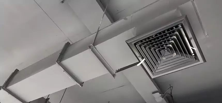 Our Rodent Droppings In Vents Services in Norfolk, NE