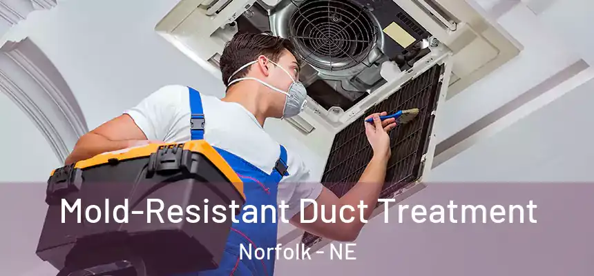  Mold-Resistant Duct Treatment Norfolk - NE