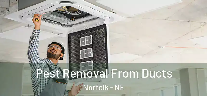  Pest Removal From Ducts Norfolk - NE
