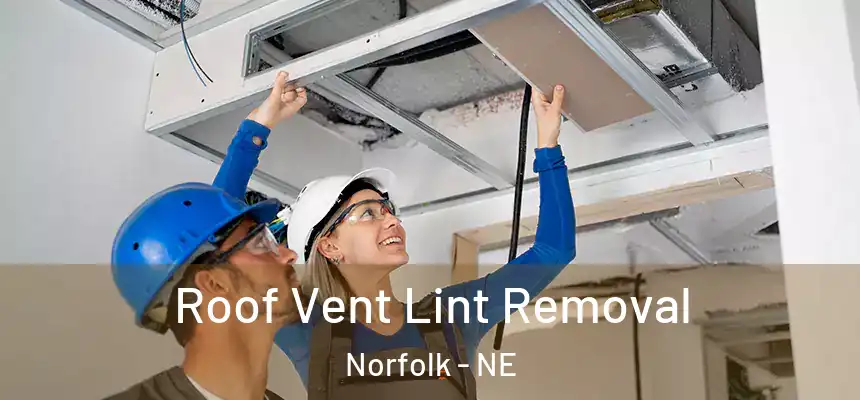 Roof Vent Lint Removal Norfolk - NE