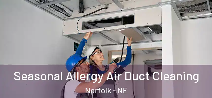  Seasonal Allergy Air Duct Cleaning Norfolk - NE