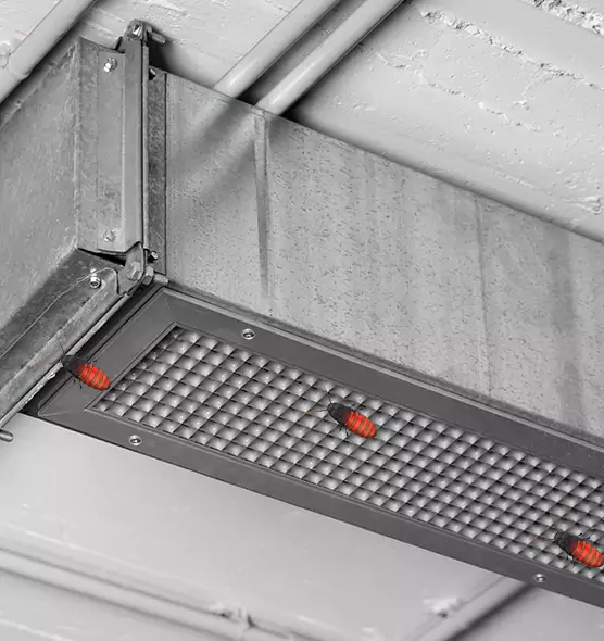 Affordable Insect Removal from Air Ducts in Norfolk, NE